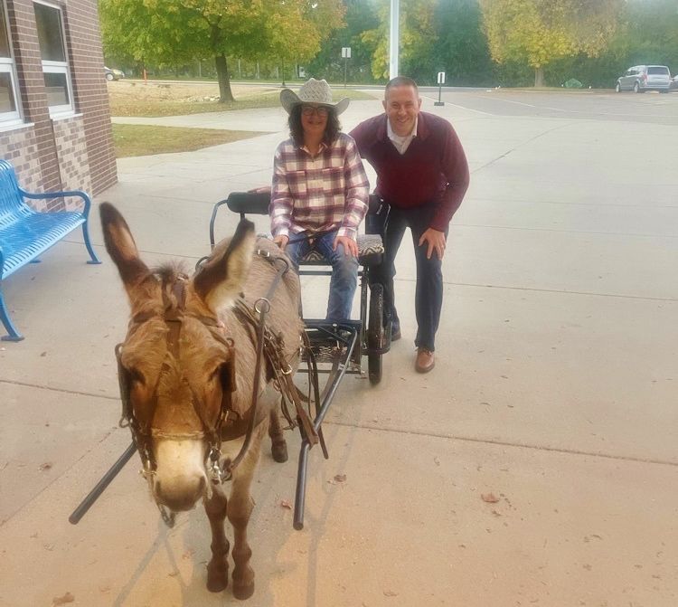 Donkey